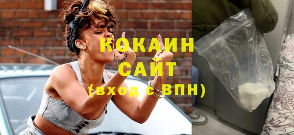 соль ск Алексин