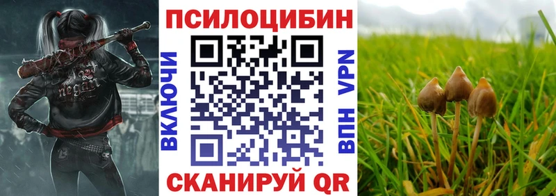 KRAKEN tor  Кирс  Псилоцибиновые грибы Psilocybine cubensis 