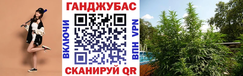 Марихуана семена  Кирс 